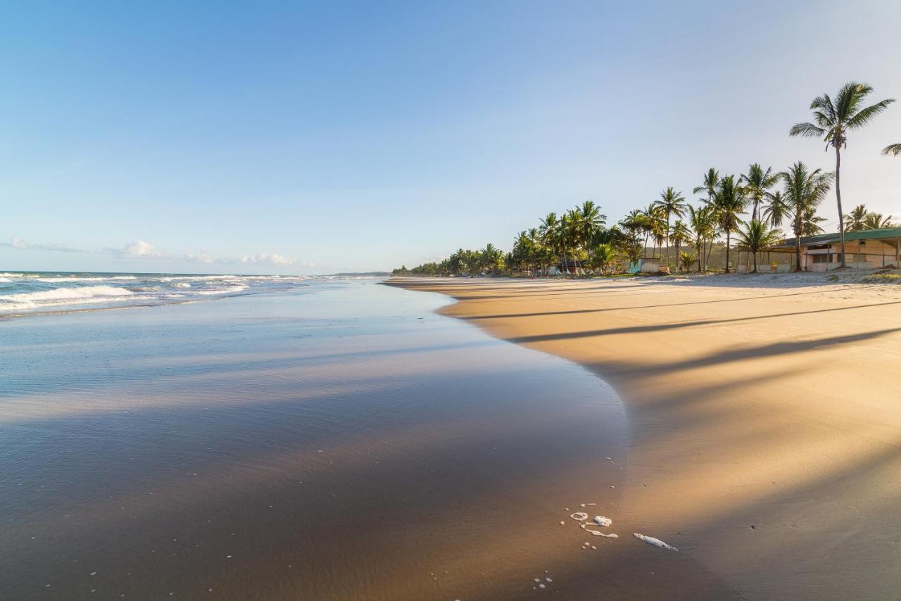Belissimo Apto A 500M Praias Do Sul イリェウス エクステリア 写真